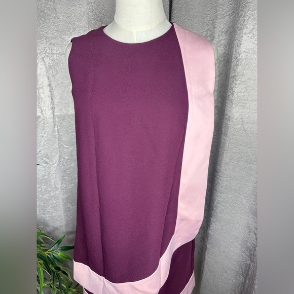 NEW Ted Baker London Braedyn Sleeveless Two-Tone Layered Dress Maroon Sz 0 - Picture 4 of 12